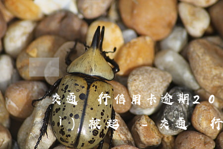 交通銀行信用卡逾期2000多久會(huì)被起訴-交通銀行信用卡逾期2000多久會(huì)被起訴呢