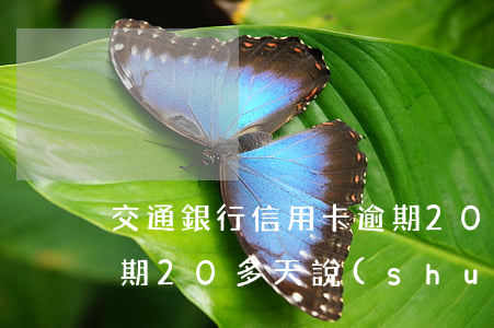 交通銀行信用卡逾期20(交通銀行信用卡逾期20多天說(shuō)要上訴我)