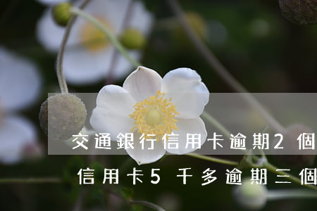 交通銀行信用卡逾期2個月沒錢還(交通銀行信用卡5千多逾期三個月)