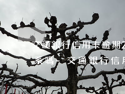 交通銀行信用卡逾期2天有關(guān)系嗎-交通銀行信用卡 逾期一天