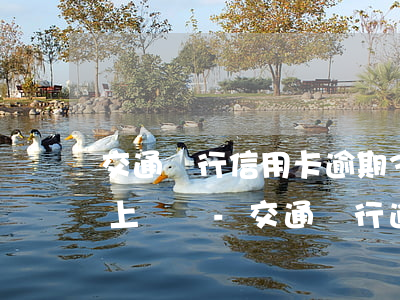 交通銀行信用卡逾期3個(gè)月司法局上門嗎-交通銀行逾期三個(gè)月了會(huì)上門調(diào)查嗎?