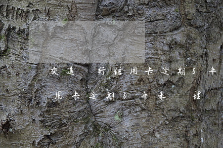 交通銀行信用卡逾期5年未處理(交通銀行信用卡逾期5年未處理會(huì)怎樣)