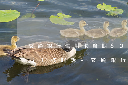 交通銀行信用卡逾期6000多久會(huì)被起訴-交通銀行信用卡逾期6000多久會(huì)被起訴呢