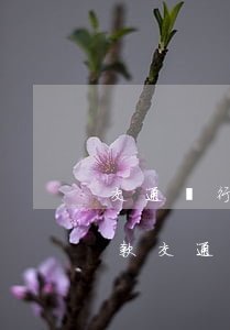 交通銀行信用卡逾期6年協(xié)商還款(交通銀行逾期還款政策)