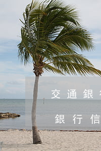 交通銀行信用卡逾期9個(gè)月(欠交通銀行信用卡逾期幾個(gè)月了會(huì)怎么辦)