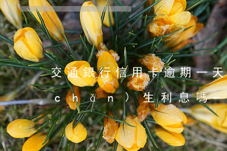 交通銀行信用卡逾期一天會(huì)產(chǎn)生利息嗎-交通銀行信用卡逾期一天會(huì)產(chǎn)生利息嗎