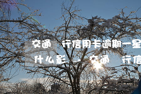 交通銀行信用卡逾期一星期會(huì)有什么影響-交通銀行信用卡逾期一星期會(huì)有什么影響嗎