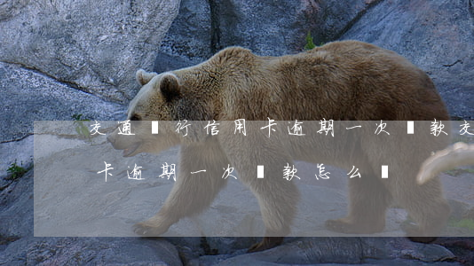 交通銀行信用卡逾期一次貸款(交通銀行信用卡逾期一次貸款怎么辦)