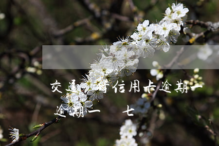 交通銀行信用卡逾期一萬七（交通銀行信用卡逾期一萬七）