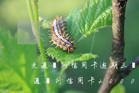 交通銀行信用卡逾期三個(gè)月了-交通銀行信用卡2000逾期三個(gè)月會(huì)被起訴嗎