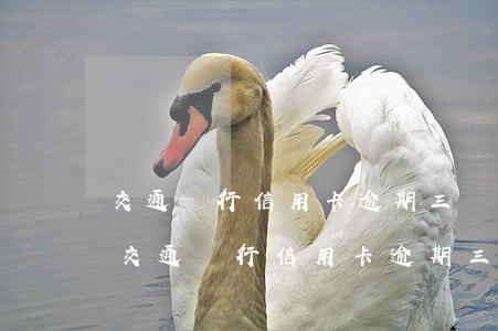交通銀行信用卡逾期三個月會有什么后果-交通銀行信用卡逾期三個月會有什么后果