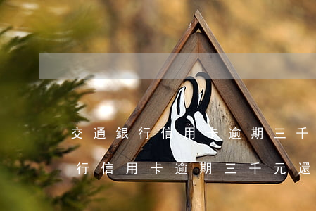 交通銀行信用卡逾期三千元還不起-交通銀行信用卡逾期三千元還不起怎么辦