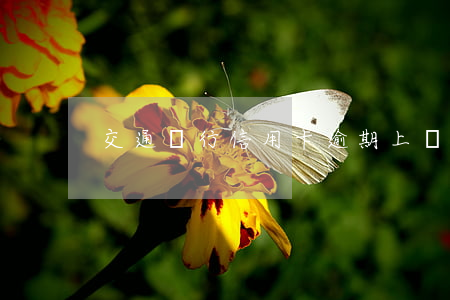 交通銀行信用卡逾期上門抓人