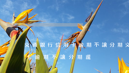 交通銀行信用卡逾期不讓分期 交通銀行信用卡逾期不讓分期還