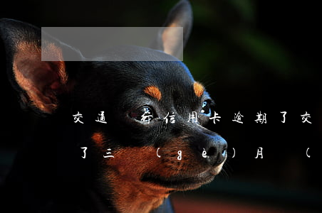 交通銀行信用卡逾期了(交通銀行信用卡逾期了三個(gè)月會(huì)不會(huì)降額度)