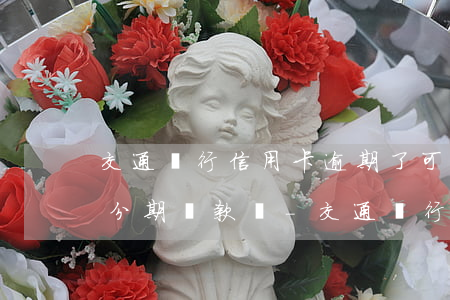 交通銀行信用卡逾期了可以協(xié)商分期還款嗎-交通銀行信用卡逾期了可以協(xié)商分期還款嗎