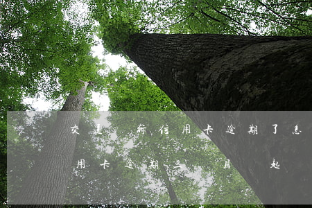 交通銀行信用卡逾期了怎么起訴(交通銀行信用卡逾期三個月會起訴嗎)