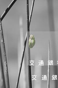 交通銀行信用卡逾期了怎么辦理停息分期-交通銀行信用卡逾期了怎么辦理停息分期還款
