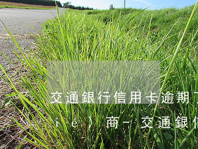 交通銀行信用卡逾期了無力償還怎么協(xié)商-交通銀信用卡逾期如何協(xié)商還款?