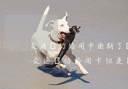交通銀行信用卡逾期了說要上門(我沒有辦過交通銀行信用卡但是給我發(fā)短信說我逾期了)