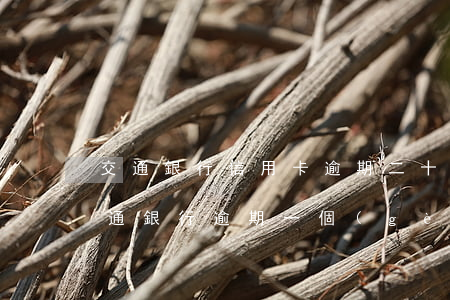 交通銀行信用卡逾期二十天會(huì)(交通銀行逾期一個(gè)月說(shuō)半個(gè)小時(shí)一定要處理)
