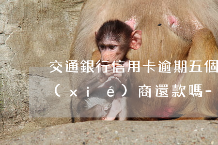 交通銀行信用卡逾期五個(gè)月可以協(xié)商還款嗎-交通銀行信用卡逾期五個(gè)月可以協(xié)商還款嗎