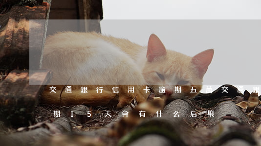 交通銀行信用卡逾期五萬(交通銀行信用卡逾期15天會有什么后果)