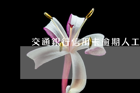 交通銀行信用卡逾期人工打不通