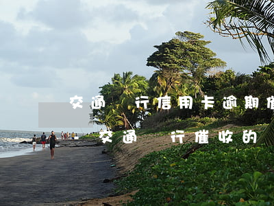 交通銀行信用卡逾期催收為什么是銀行電話-交通銀行催收的為什么那么多電話號(hào)碼