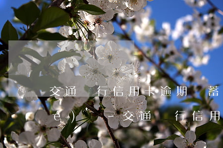 交通銀行信用卡逾期儲蓄卡會被凍結(jié)嗎-交通銀行信用卡逾期儲蓄卡會被凍結(jié)嗎