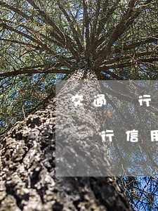 交通銀行信用卡逾期八萬(wàn)(欠交通銀行信用卡兩萬(wàn)逾期兩年會(huì)被起訴嗎)