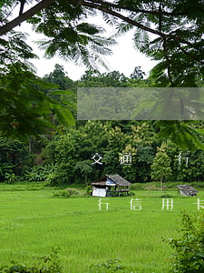 交通銀行信用卡逾期分期辦理電話-交通銀行信用卡逾期分期辦理電話號(hào)碼