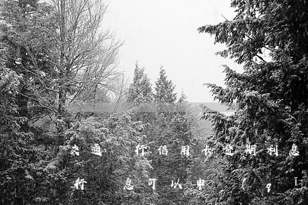 交通銀行信用卡逾期利息減免郵箱-交通銀行罰息可以申請(qǐng)減免嗎