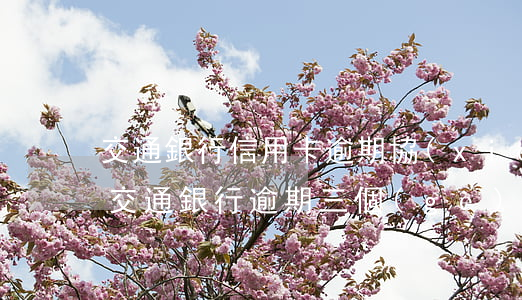 交通銀行信用卡逾期協(xié)商可以嗎(交通銀行逾期三個(gè)月就不能協(xié)商處理嗎)