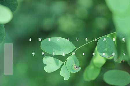 交通銀行信用卡逾期協商還款本金(交通銀行信用卡逾期協商還款本金)