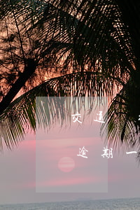 交通銀行信用卡逾期可以還本金么(交通銀行逾期一天還款對(duì)信用有影響嗎)
