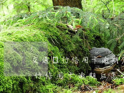 交通銀行信用卡逾期后怎么收費的-交通銀行信用卡逾期后怎么收費的呢