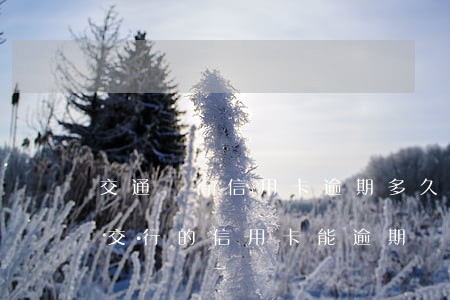 交通銀行信用卡逾期多久會(huì)覆蓋(交行的信用卡能逾期幾天)