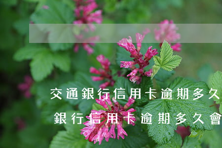 交通銀行信用卡逾期多久會上報央行-交通銀行信用卡逾期多久會上報央行征信