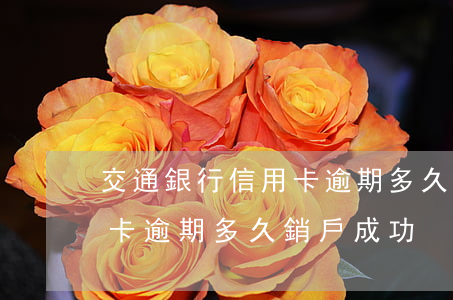 交通銀行信用卡逾期多久銷戶(交通銀行信用卡逾期多久銷戶成功)