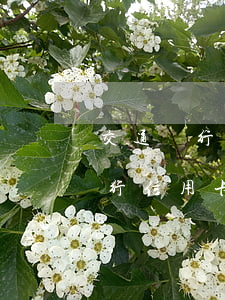 交通銀行信用卡逾期如何協(xié)商（交行信用卡逾期協(xié)商書）