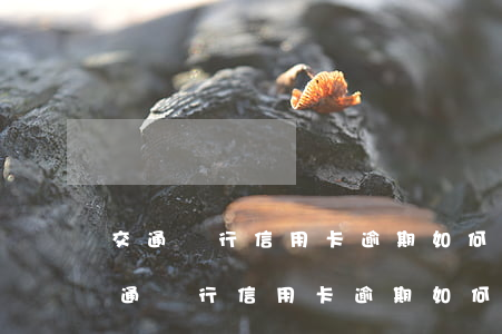 交通銀行信用卡逾期如何協(xié)商(交通銀行信用卡逾期如何協(xié)商還款需要先還一部分進去嗎)