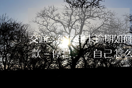 交通銀行信用卡逾期如何協(xié)商還款-停息掛賬自己怎么去申請
