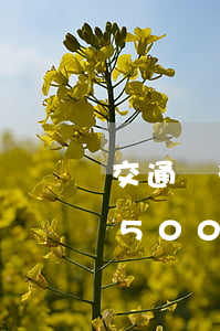 交通銀行信用卡逾期幾天算(交通銀行信用卡5000逾期罰息是多少?)