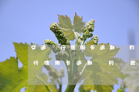 交通銀行信用卡逾期幾月還款最合適（交通銀行信用卡逾期幾月還款）