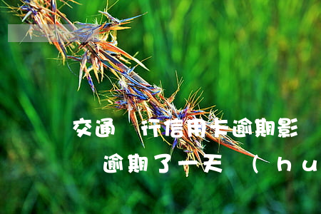 交通銀行信用卡逾期影響貸款嗎(交通銀行房貸逾期了一天會(huì)不會(huì)影響信用)