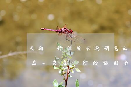 交通銀行信用卡逾期怎么協(xié)商免息-交通銀行的信用卡逾期了可以協(xié)商還本金嗎