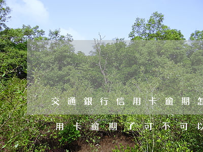 交通銀行信用卡逾期怎么去還(在交通銀行信用卡逾期了可不可以分期還款)