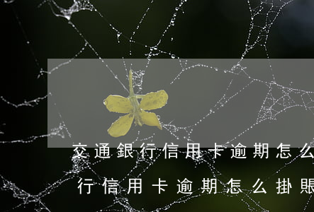 交通銀行信用卡逾期怎么掛賬停息-交通銀行信用卡逾期怎么掛賬停息還款