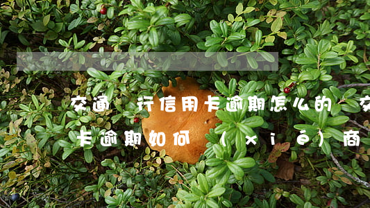 交通銀行信用卡逾期怎么的還 交通銀行信用卡逾期如何協(xié)商